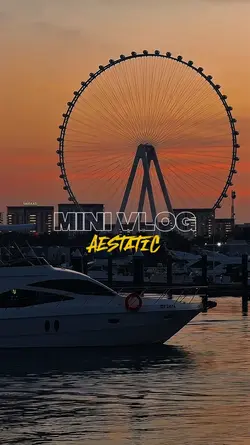 MINI LOGIN 9 clip