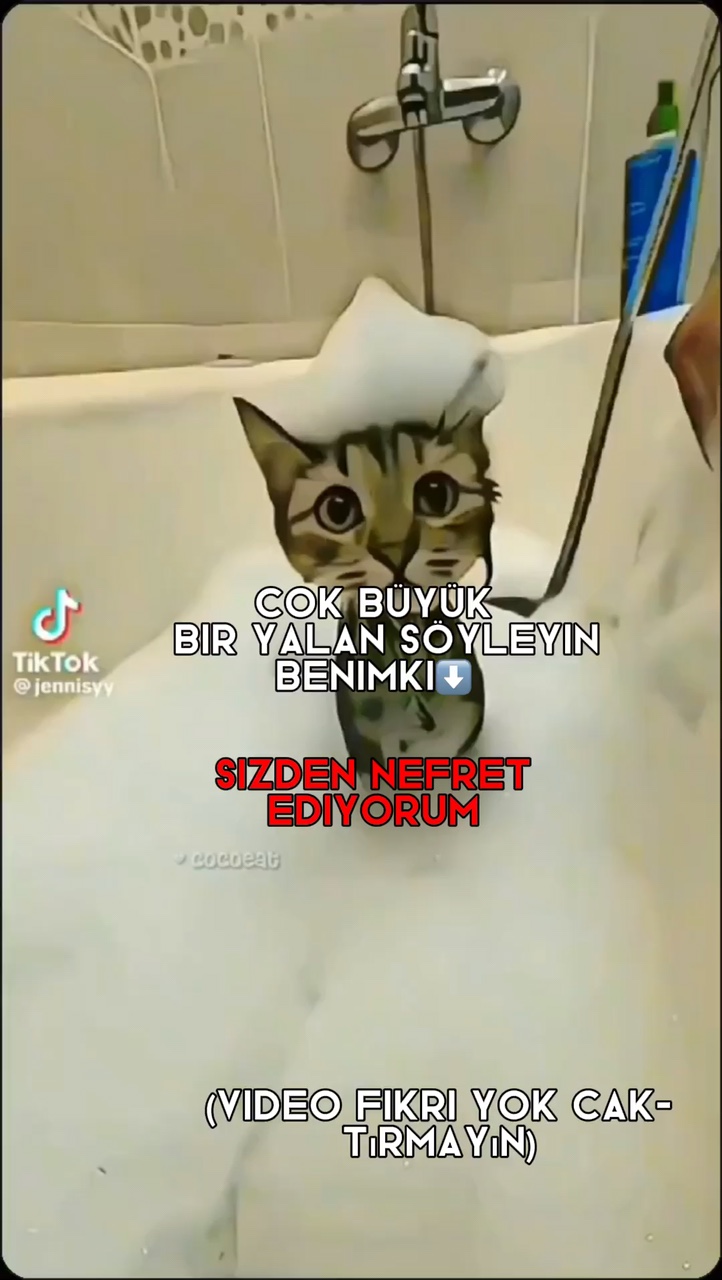 dünyanın en büyük 