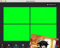 Another zoom meeting