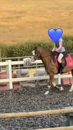 Horse slow mo