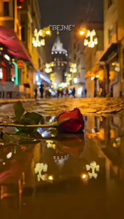 yeni şablon