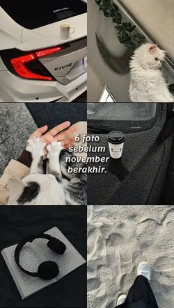 6 foto nov