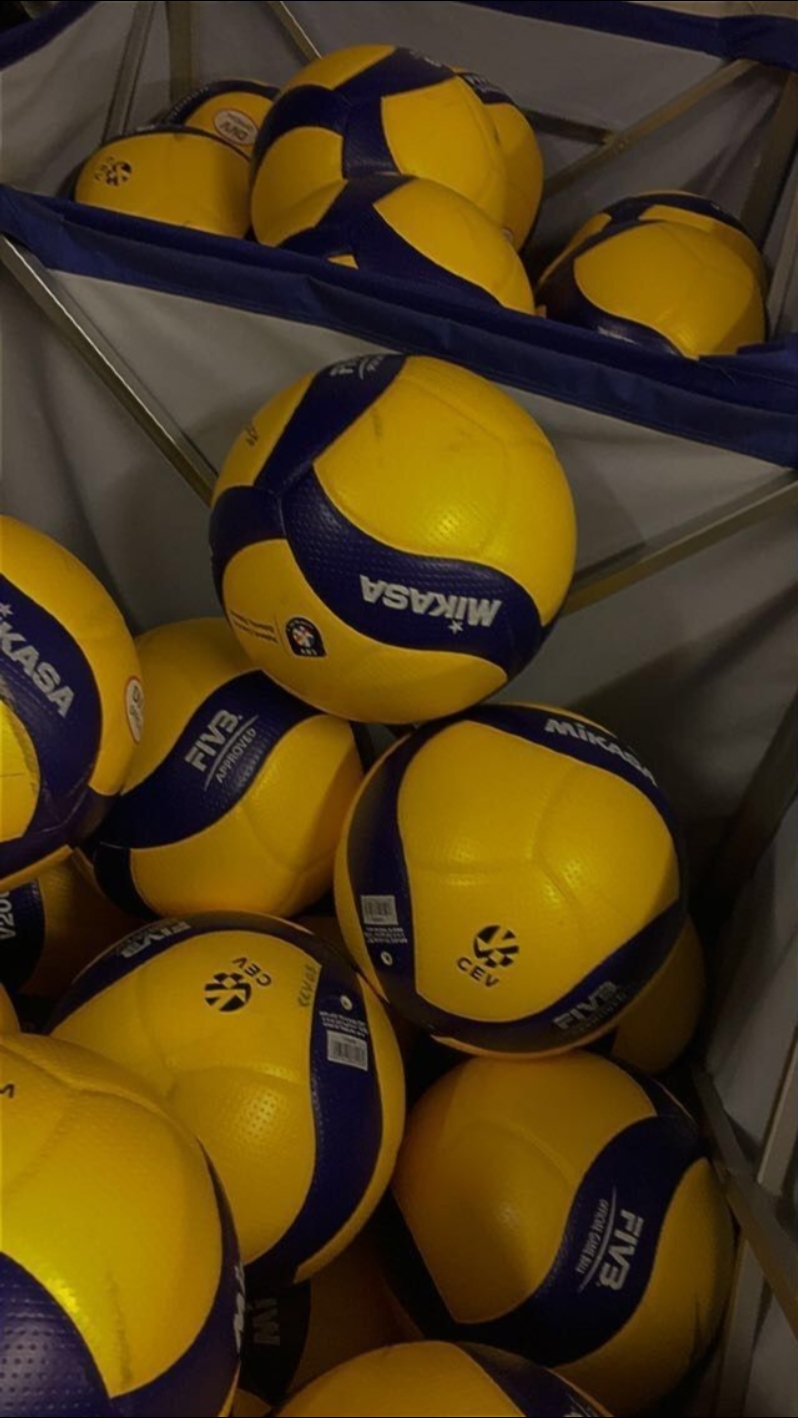 Volleyball Template 