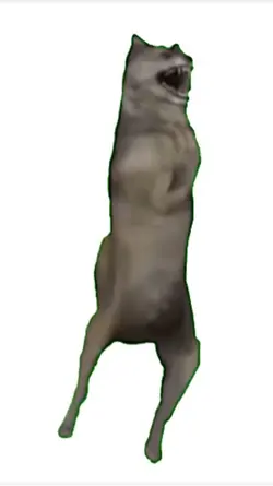 Dancing wolf meme