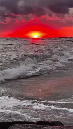 動画又は静止画