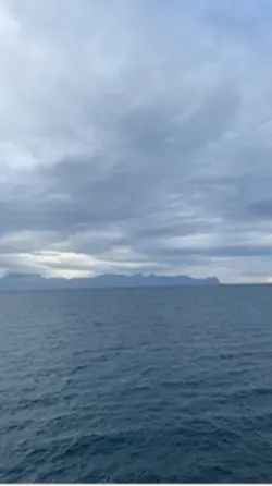 Vuoi le risposte…?