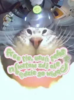 free tło :3