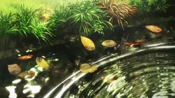 Chuyển cảnh anime