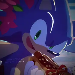 HAPPY BIRTHDAY SONIC