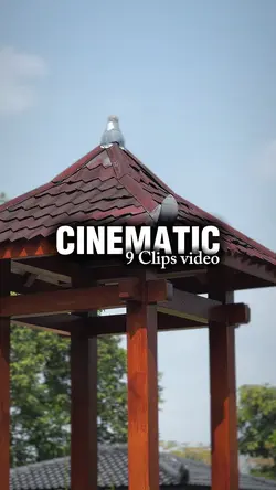 LIFE | CINEMATIC 