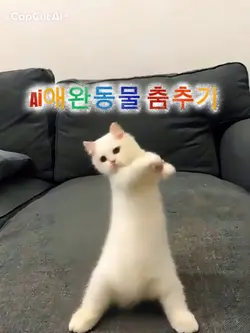 Ai애완동물 춤추기