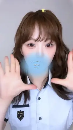 004 . 청상아리 vs 백상아리