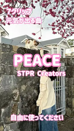 PEACE STPR Creators