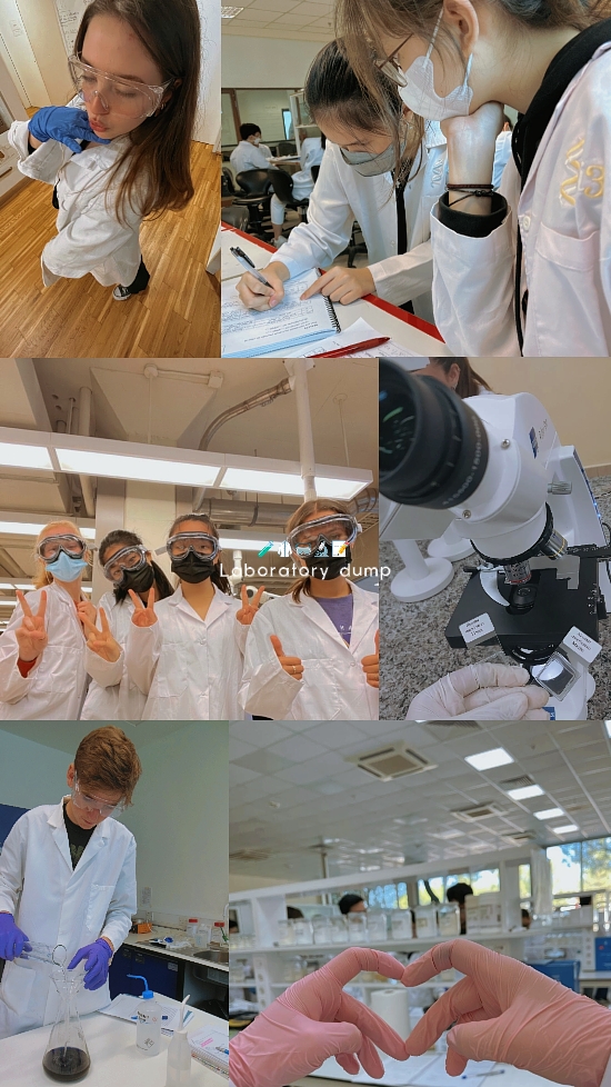 Dump de laboratoire 