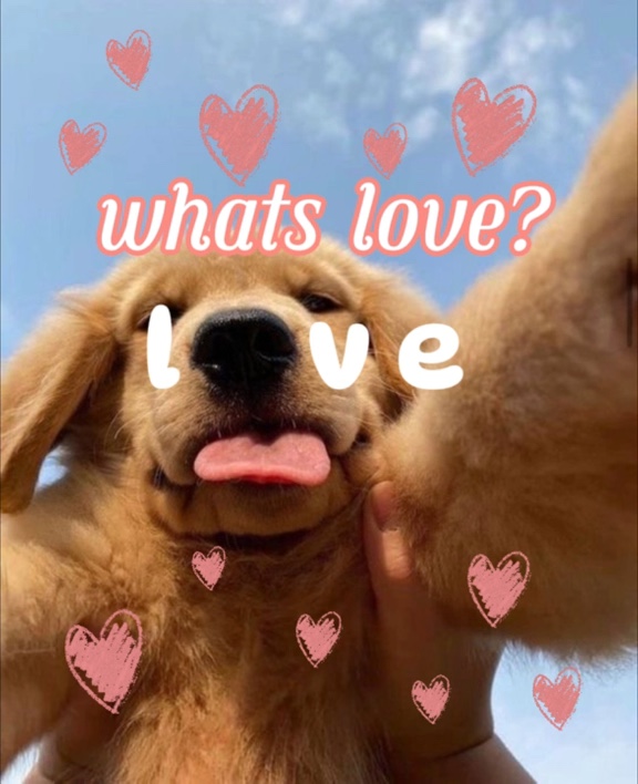 puppy love