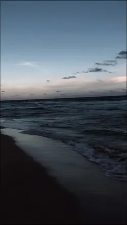 tik tok viral