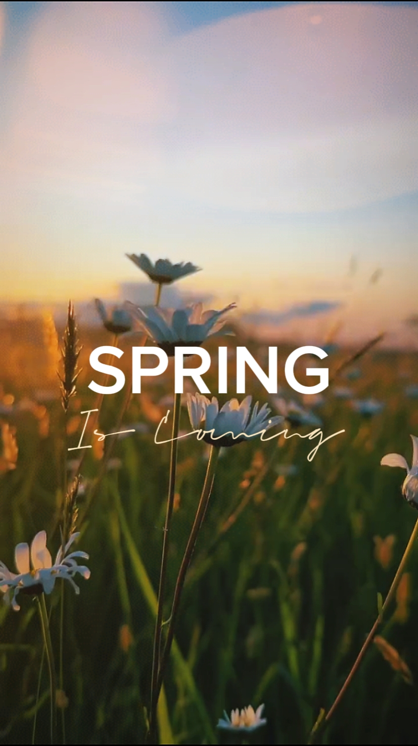 Der Frühling kommt
