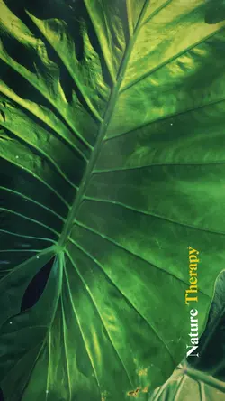 Nature Therapy❤️