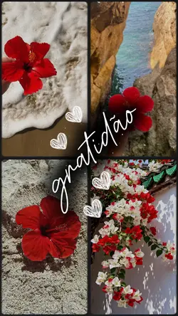 GRATIDÃO