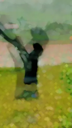 কি নাচ রে ভাই