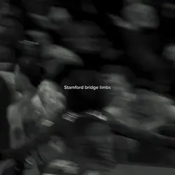 Enzo Fernandez goal 