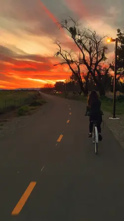 MOMENTS