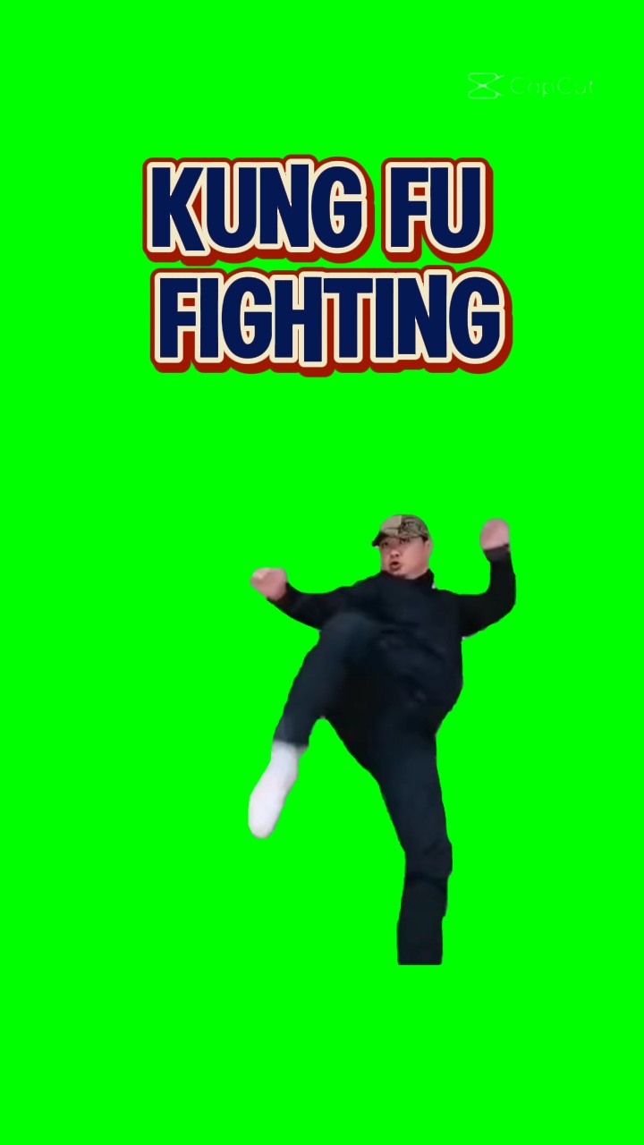 KUNG FU FIGHTING