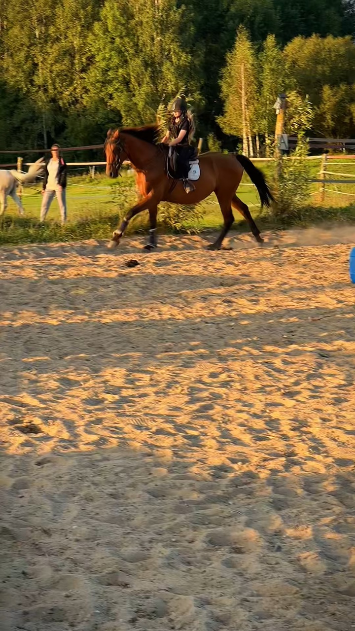 HOLY CANTER