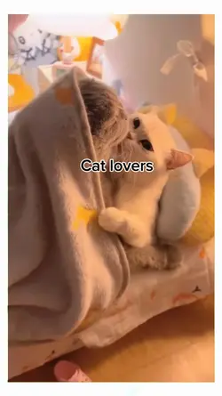 Cat lovers