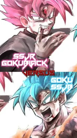 GokuBlack Vs Goku