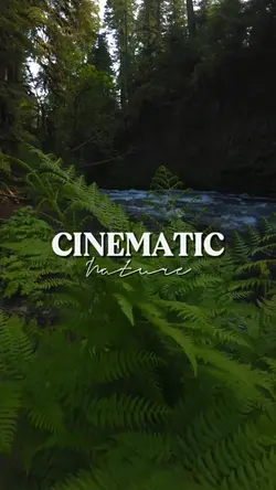 Cinematic nature