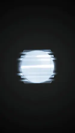 charisma portrait ³⁰