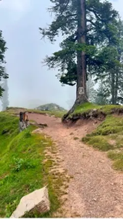 Kashmir