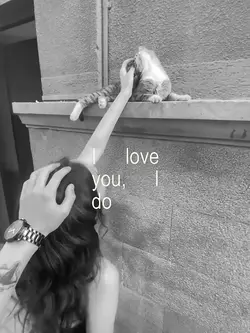 i love you i do