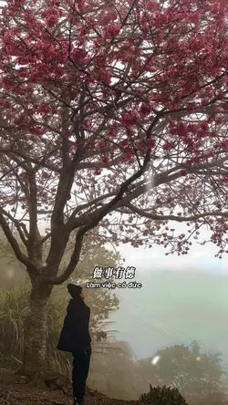 Làm việc có đức