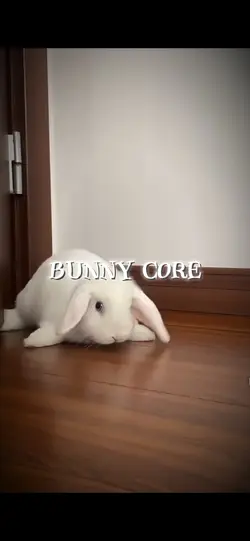 Bunny core