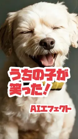 うちの子が笑った☺️