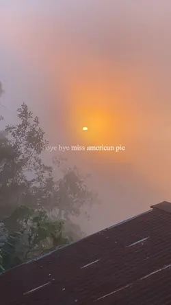 american pie 