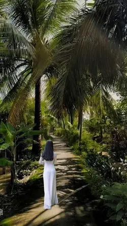 cảnh quê yên bình 