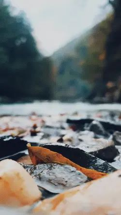 slowmo pamphlet