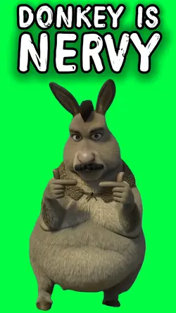 DONKEY IS NERVY