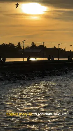 MULTO Healed Version