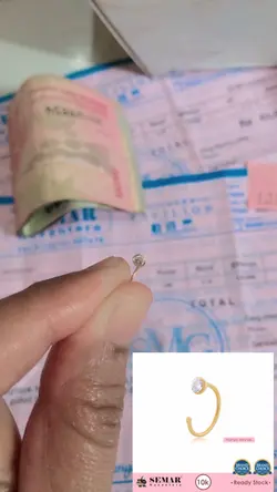 Anting