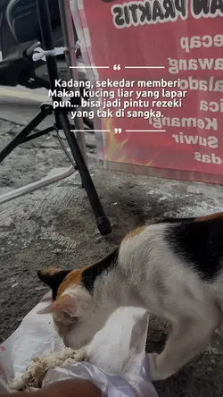 Sedekah