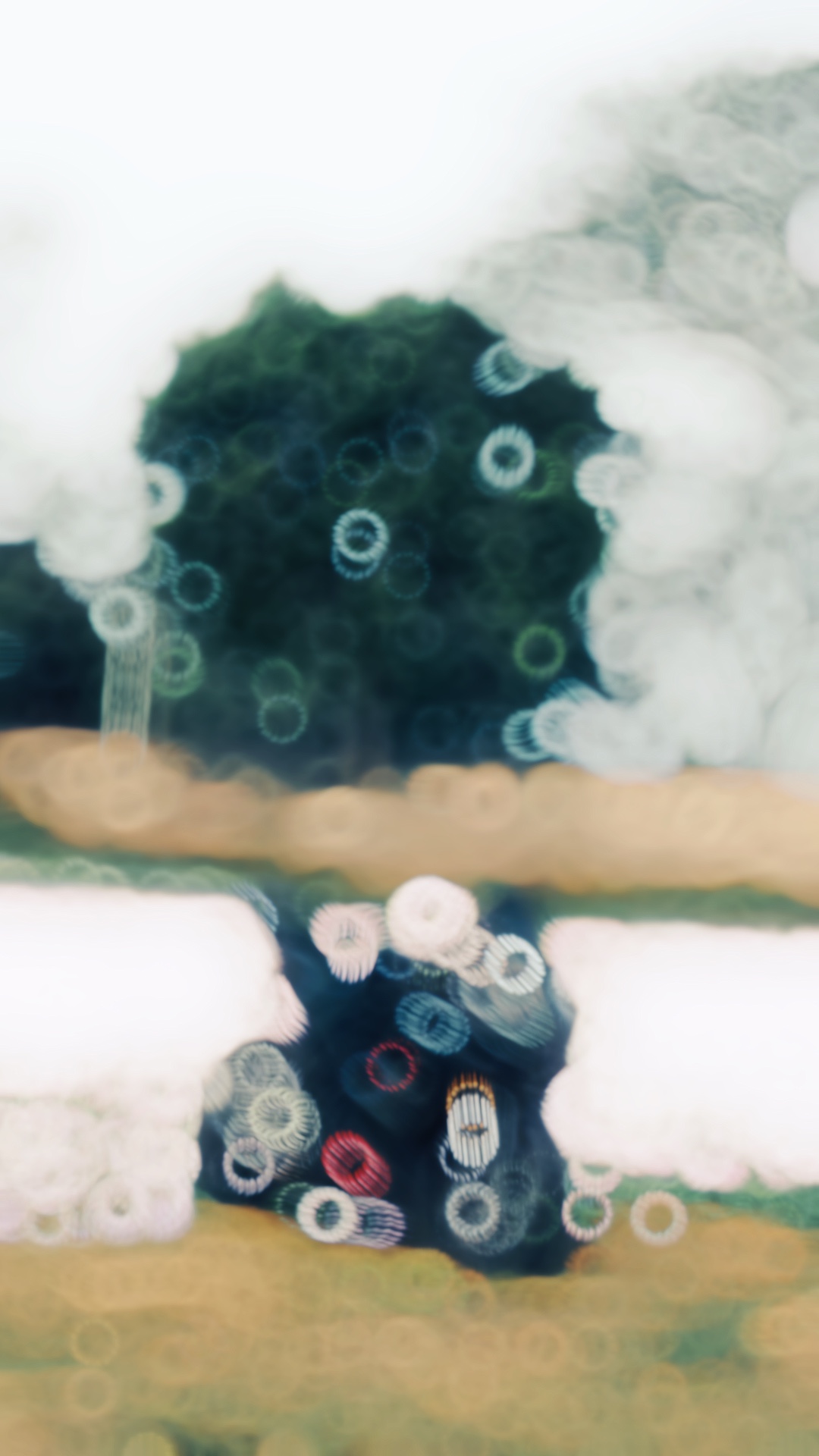 bike cinematic video