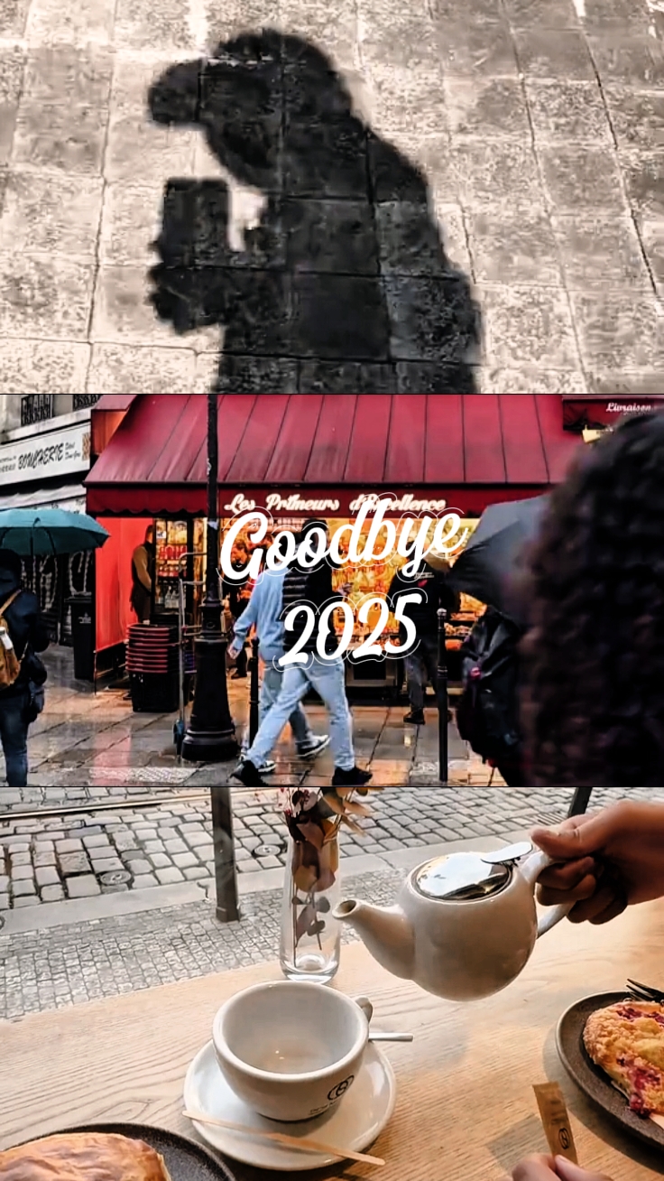 ADIÓS 2025