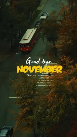 Good bye november