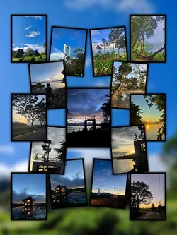 15Pic Trend