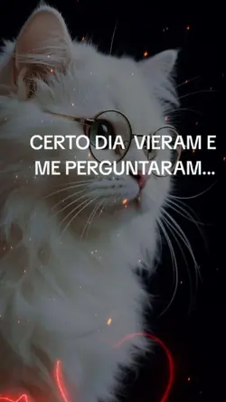 vieram perguntar...