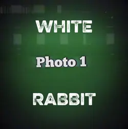 White Rabbit Trend